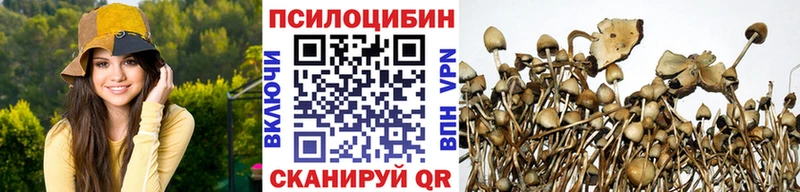 Купить где  Шахты  Псилоцибиновые грибы Magic Shrooms 